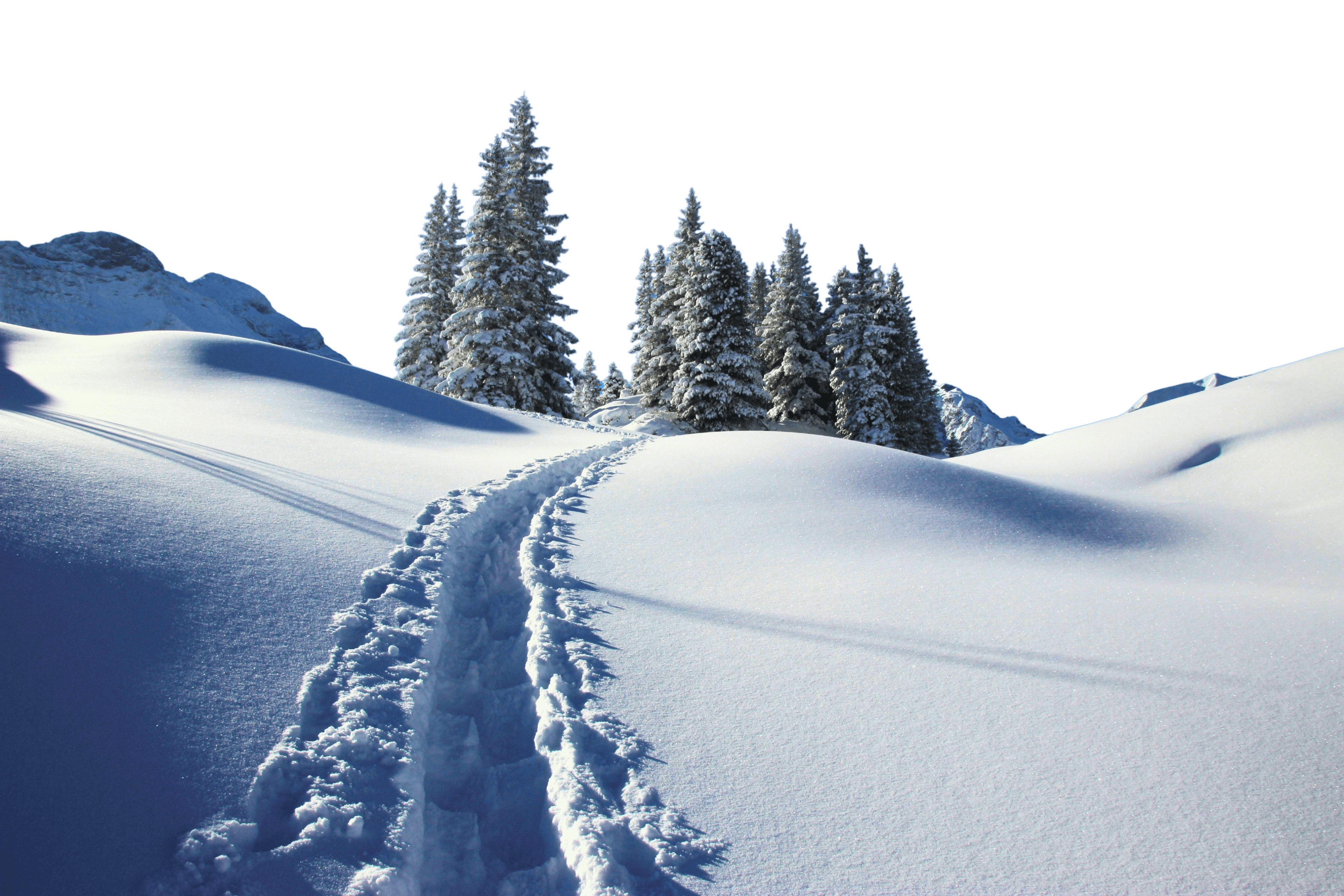 Snowy Mountain Tracks